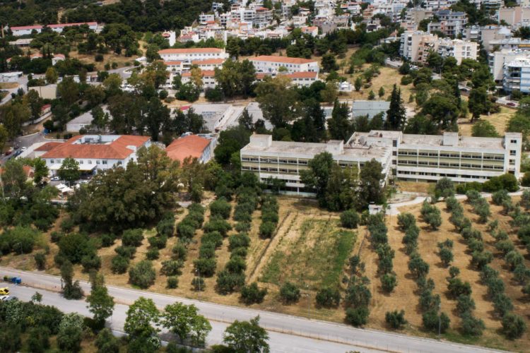 Γυναικοκτονία Κυριακής Γρίβα: «Θέλω να δικαιωθεί η ψυχή της» – Η κατάθεση της μητέρας της