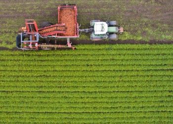 ΟΠΕΚΕΠΕ: Ένοχοι οι 13 κατηγορούμενοι για παράνομες αγροτικές επιδοτήσεις