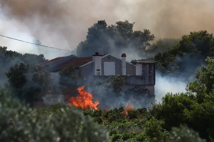 Ραφήνα: Φωτιά σε σπίτια – Βίντεο αναγνωστών