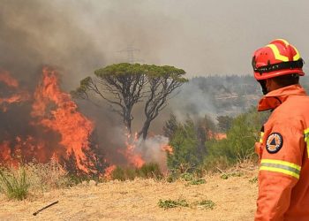Πυρκαγιές: Σε ποιες περιφέρειες είναι πολύ υψηλός ο κίνδυνος την Παρασκευή – ΧΑΡΤΗΣ