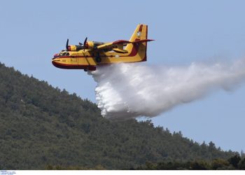 Ηλεία: Φωτιά στην περιοχή Πηγάδι – Επιχειρούν εναέρια μέσα