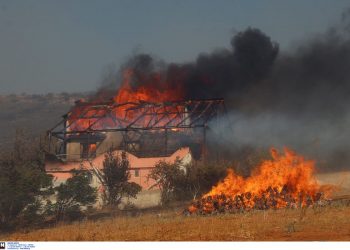 Πύρινος εφιάλτης στην Ανατολική Αττική: Ηλικιωμένος εντοπίστηκε νεκρός – Κάηκαν σπίτια