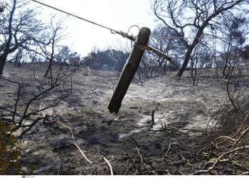 Φωτιά στην Κερατέα: Ελεύθεροι με εισαγγελική εντολή οι δύο υπάλληλοι του ΔΕΔΔΗΕ