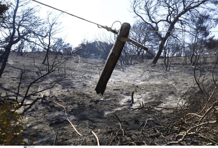 Φωτιά στην Κερατέα: Ελεύθεροι με εισαγγελική εντολή οι δύο υπάλληλοι του ΔΕΔΔΗΕ