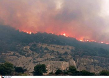 Φωτιά στη Ζάκυνθο: Μεγάλη αναζωπύρωση στον Κοιλιωμένο