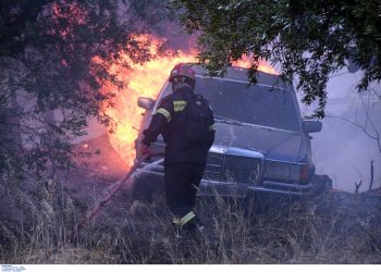 Φωτιές: Μάχη με τις φλόγες στη Χίο – Διάσπαρτες εστίες στην Πάτρα