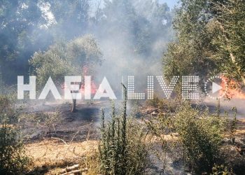 Φωτιά στα Λεχαινά Ηλείας – Μήνυμα από το 112