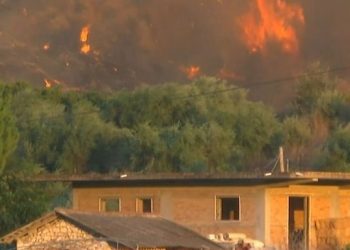 Πυρκαγιά στο Χελιδόνι Ηλείας – Ενισχύθηκαν οι πυροσβεστικές δυνάμεις