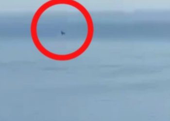 Τραγωδία στη Μαγιόρκα: Πατέρας και γιος νεκροί μετά από συντριβή αεροσκάφους