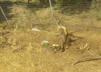 Καστοριά: Πώς έγινε η ανείπωτη τραγωδία – Θρήνος για τους 16χρονους που βρήκαν φρικτό θάνατο στην άσφαλτο