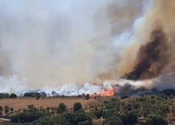 Κεφαλονιά: Μάχη με τις αναζωπυρώσεις στη μεγάλη πυρκαγιά στο Καραβάδο