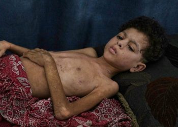 AP Photo/Jehad Alshrafi