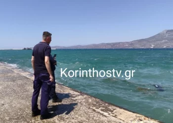 Κόρινθος: Αυτοκίνητο κατέληξε στη θάλασσα – Νεκρός ο οδηγός, τραυματίστηκε αστυνομικός