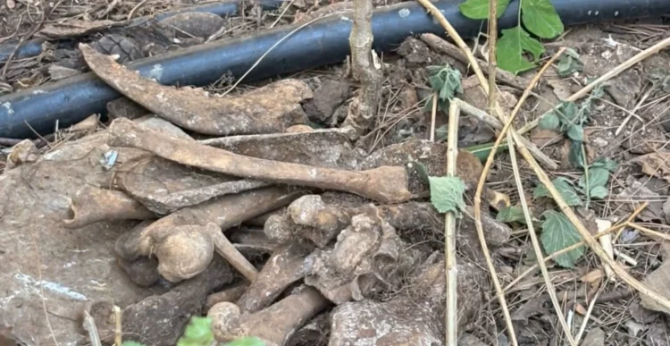 ΕΔΕ για παράνομο νεκροταφείο ζώων που βρέθηκε στο Άλσος Χωροφυλακής!