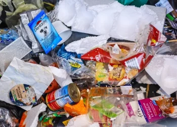 Ελβετία: Απέτυχαν οι διαπραγματεύσεις στη Γενεύη για συναίνεση επί του κειμένου δεσμευτικής συνθήκης για την καταπολέμηση της ρύπανσης από πλαστικά