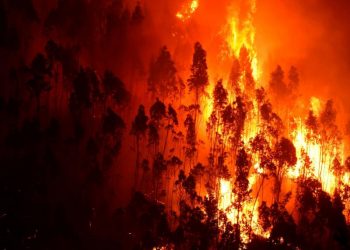Πορτογαλία: Συναγερμός για τον κίνδυνο πυρκαγιών από σήμερα