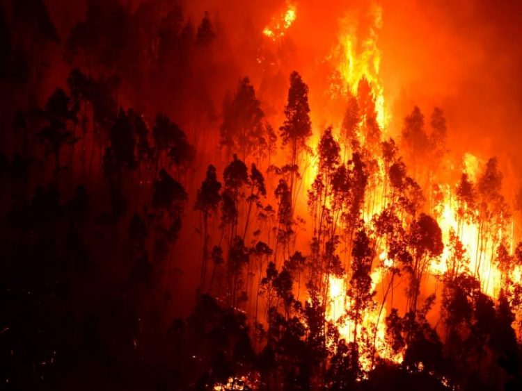 Πορτογαλία: Συναγερμός για τον κίνδυνο πυρκαγιών από σήμερα