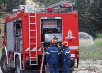 Πυρκαγιά στο Γαρδίκι Θεσπρωτίας: Συνεχίζουν να επιχειρούν οι πυροσβεστικές δυνάμεις