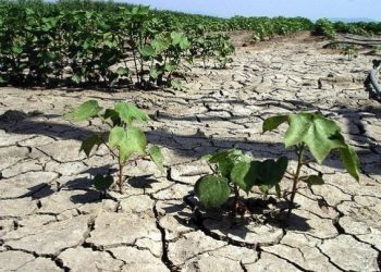 Κλιματική κρίση: Η ξηρασία «χτύπησε» Μεσόγειο-Ευρώπη και τον Αύγουστο