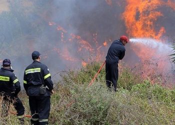 Πυρκαγιά στο Πλαγιάρι Θεσσαλονίκης