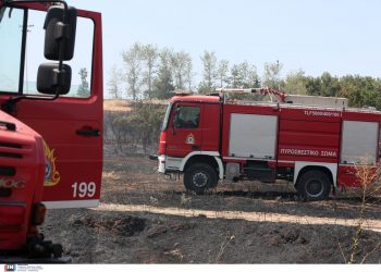 Σε ύφεση η πυρκαγιά στο Κουνούπι Αργολίδας