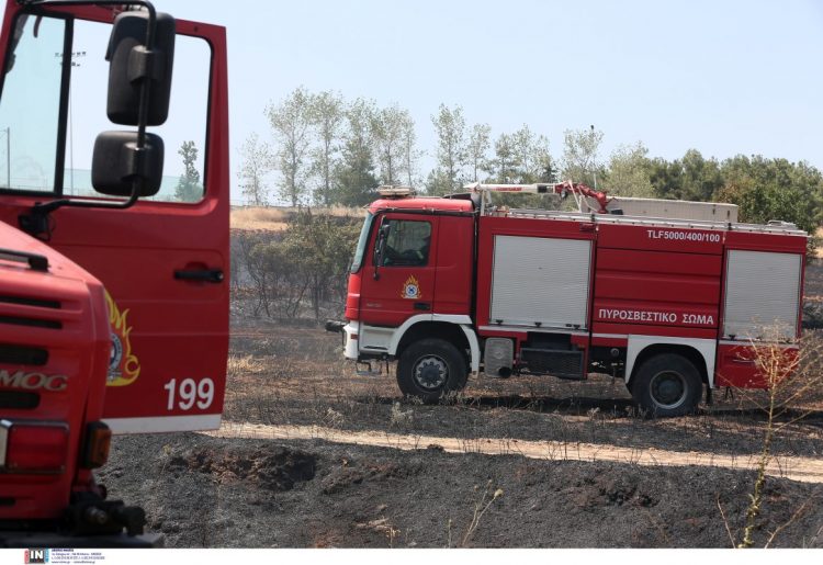 Σε ύφεση η πυρκαγιά στο Κουνούπι Αργολίδας
