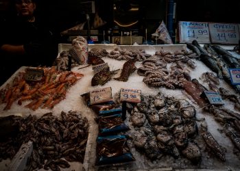 Βαρβάκειος Αγορά: Έως 40% φθηνότερα τα ψάρια – Αυξάνεται σταδιακά η κίνηση