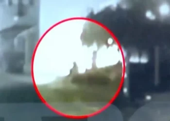 Δολοφονία στη Φοινικούντα: Νέο βίντεο ντοκουμέντο με το σκούτερ να φεύγει από το κάμπινγκ – Το προφίλ των 22χρονων