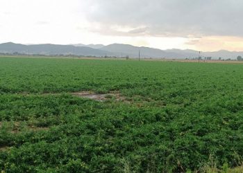 Υπουργείο Αγροτικής Ανάπτυξης και Τροφίμων: Οριστικό τέλος στη «τεχνική λύση»