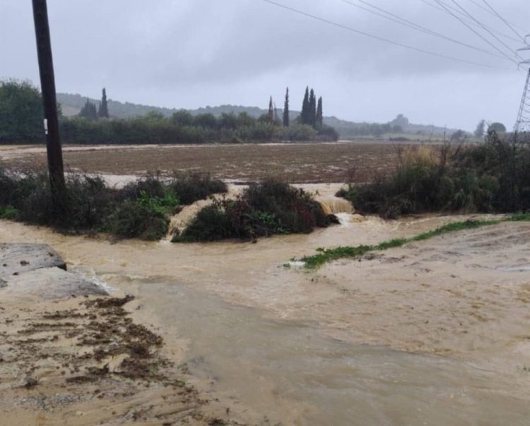 Αγρίνιο: Υπερχείλισαν ρέματα, πλημμύρισαν σπίτια και χωράφια – Φωτογραφίες και Βίντεο