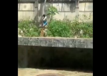 Βραζιλία: Ένας 19χρονος σκοτώθηκε από λιοντάρι σε ζωολογικό κήπο