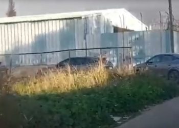 Ασπρόπυργος: Επιχείρηση της ΕΛΑΣ μετά τον τραυματισμό αστυνομικού σε επίθεση με πέτρες