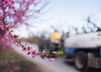 ΥΠΑΑΤ: Παράταση μέχρι 31 Δεκεμβρίου 2026 για χρηματοδότηση και αγροτικά ακίνητα