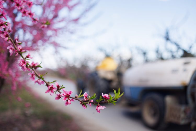 ΥΠΑΑΤ: Παράταση μέχρι 31 Δεκεμβρίου 2026 για χρηματοδότηση και αγροτικά ακίνητα