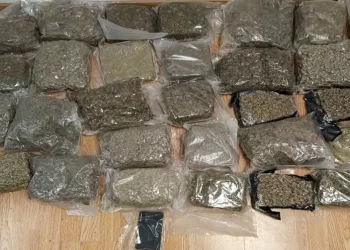 Δύο συλλήψεις για διακίνηση ναρκωτικών στην Αττική- Κατασχέθηκαν 51 κιλά κάνναβης
