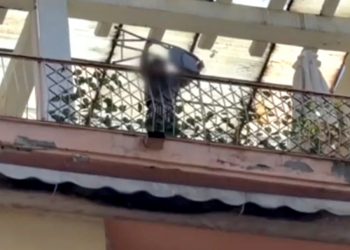 Θεσσαλονίκη: 5χρονος πετούσε αντικείμενα από το μπαλκόνι – Συνελήφθη η μητέρα του που έλειπε – ΒΙΝΤΕΟ