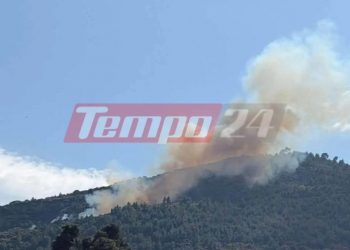 Αχαΐα: Πυρκαγιά βρίσκεται σε εξέλιξη στην Ακράτα – Ήχησε το 112