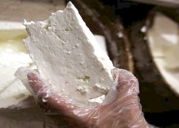 Μυτιλήνη: Άμεση αναχώρηση των γαλακτοκομικών προϊόντων ώστε να επαναλειτουργήσουν τα τυροκομεία, ζητούν οι τυροκόμοι