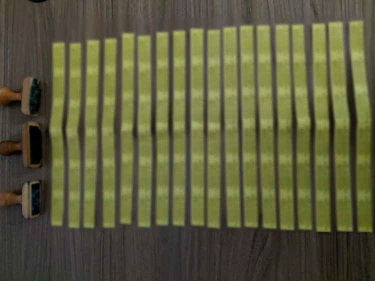 Απάτη ΟΠΕΚΕΠΕ μέσα από τις φυλακές: 71 ετών έγκλειστος διέθετε σε αγρότες πλαστά στοιχεία για να παίρνουν επιδοτήσεις